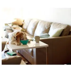 Secure Local Storage