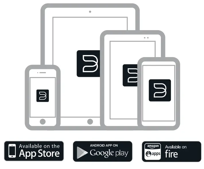 BLUESOUND HUB HiFi Wireless Adapter and Preamplifier-fig5