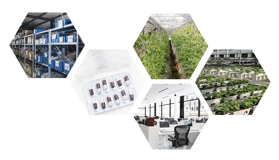 版权归千图网所有，盗图必究