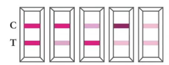 GENABIO COVID 19 Rapid Self Test Kit - figure 16
