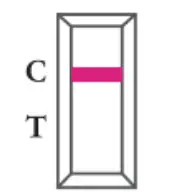 GENABIO COVID 19 Rapid Self Test Kit - figure 17