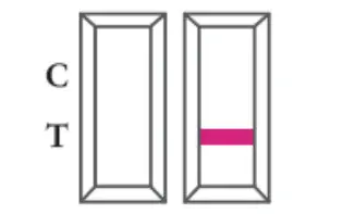 GENABIO COVID 19 Rapid Self Test Kit - figure 18