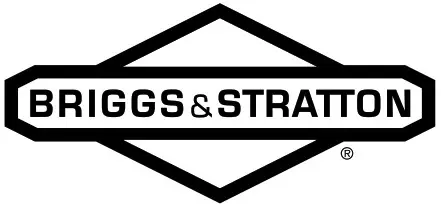 BRIGGS STRATTON - Logo