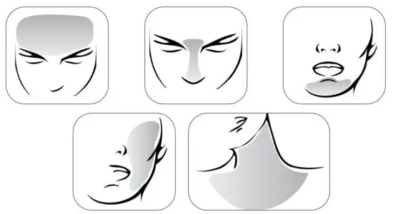 FIG 3 TREATMENT AREAS