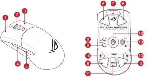 FIG 3 Mouse features