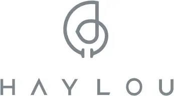 HAYLOU logo n1