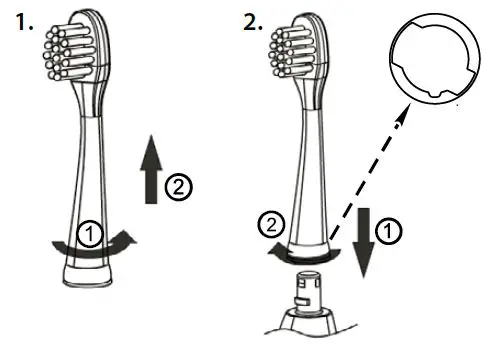 truelife 8594175356304 SonicBrush Kid G 3