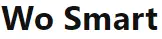 Wo Smart Technologies GT1PRO GT1 Pro Smart Watch LOGO