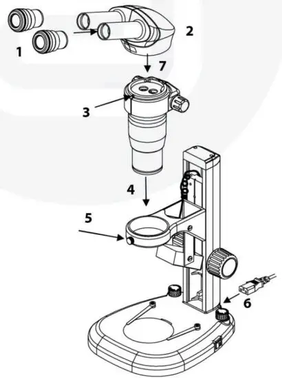 euromex 1724 DZ Series Microscope - Assembly diagram