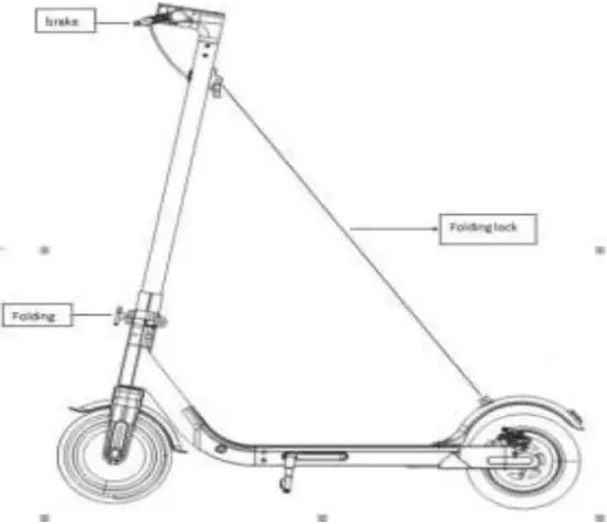 ZEEBULL 34509226 - Function