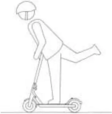 ZEEBULL 34509226 - Learning driving 6h