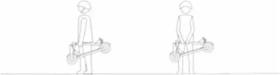 ZEEBULL 34509226 - Transportation