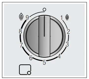 Controls and burners
