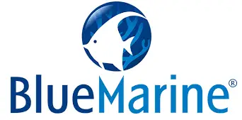 Blue Marine logo