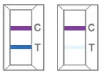 liloclean RCPM-00171 CareStart COVID-19 Antigen Home Test Instruction Manual fig 20