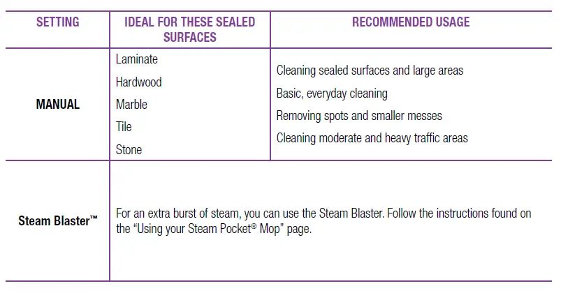 Manual Steam Control