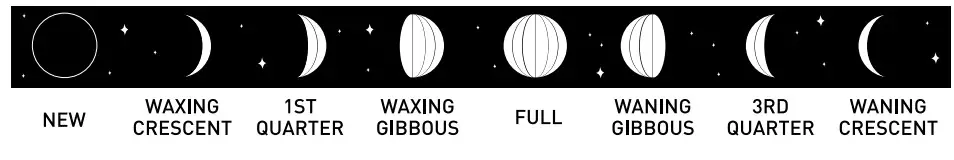 ACURITE 00592W Thermometer -Moon Phase