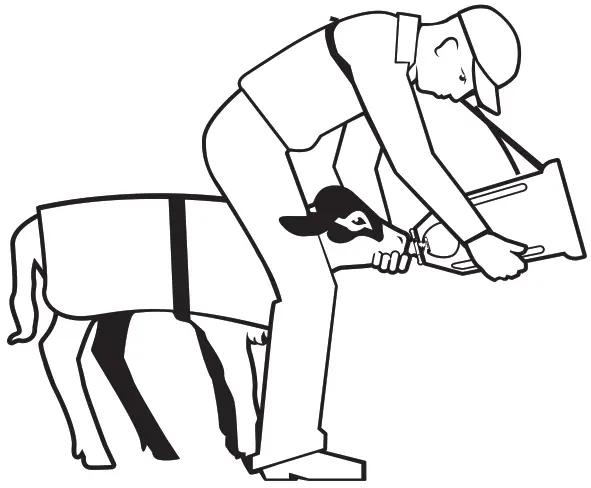 FORSTER TECHNIK 6.2 ColostroFIT Checklist - Figure 5