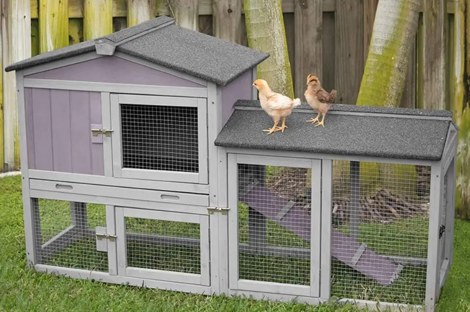 Aivituvin Air 61 61 Inch Chicken Coop Instruction Manual