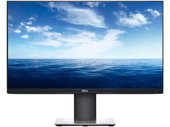 Dell 24 Usb-c Monitor [p2421dc] User Manual