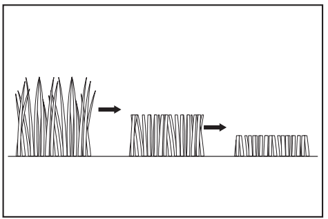 makita CML01 Battery Powered Lawn Mower - grass 2