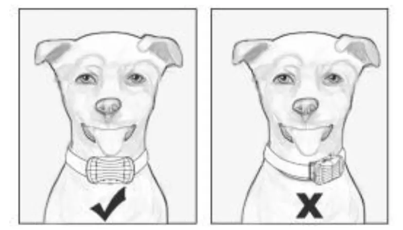 AFU-WHO-0002-Remote-Dog-Training-System-FIG-9