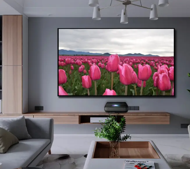 VAVA 120-ALR Projector Screen Max product