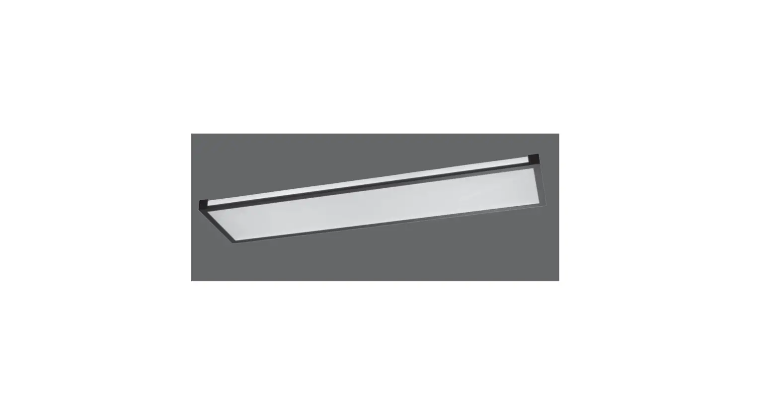 Paul Neuhaus Mario Modern Metal Ceiling Light Instructions