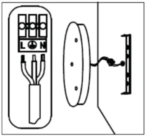 Assembly Instruction