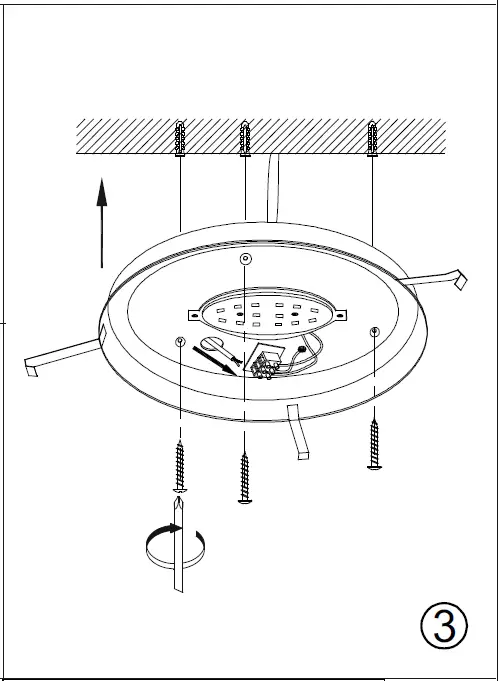 Paul Neuhaus 992829 Titus LED Pendant Light 05