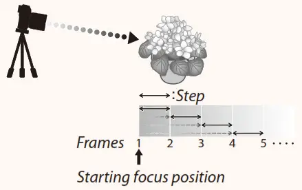 FUJIFILM GFX 50R Digital Camera - Focus and Fram