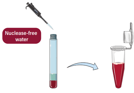GALENVS magenti Total RNA Extraction Kit - 2