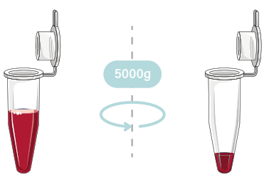 GALENVS magenti Total RNA Extraction Kit - 3