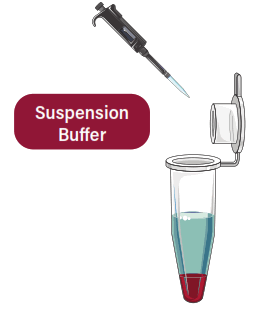 GALENVS magenti Total RNA Extraction Kit - 4