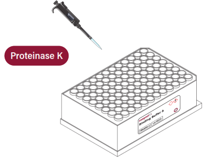 GALENVS magenti Total RNA Extraction Kit - 5
