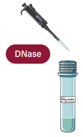 GALENVS magenti Total RNA Extraction Kit - 7