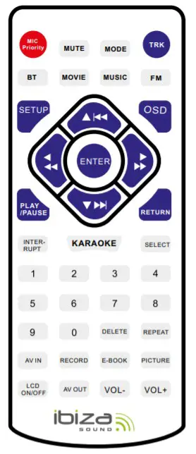 ibiza Portable Karaoke Speaker --Remote Control