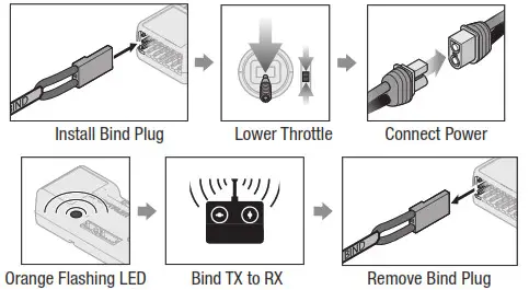 HORIZON E-flite Turbo Timber Evolution 1.5m - To Disable SAFE Select 2