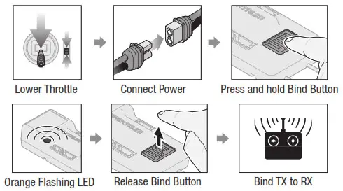 HORIZON E-flite Turbo Timber Evolution 1.5m - To Disable SAFE Select