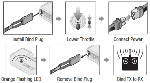 HORIZON E-flite Turbo Timber Evolution 1.5m - To Enable SAFE Select