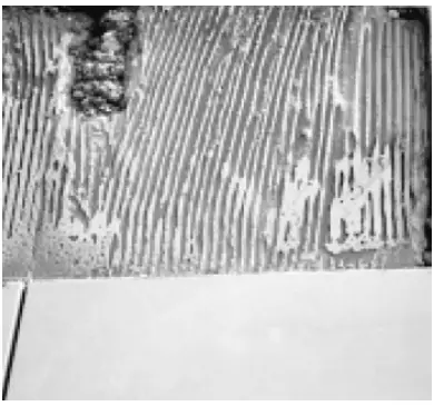 Installation Instruction