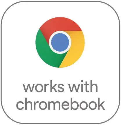 CHROME ICON