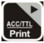 Print Button