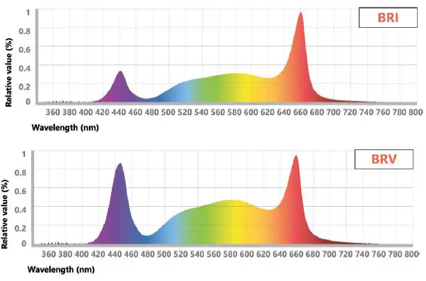 GE-current-HORT179-Next-Gen-Indoor-Lighting-fig-7