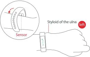 Bracelet Wearing Instructions