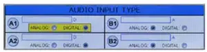 Audio Input Type