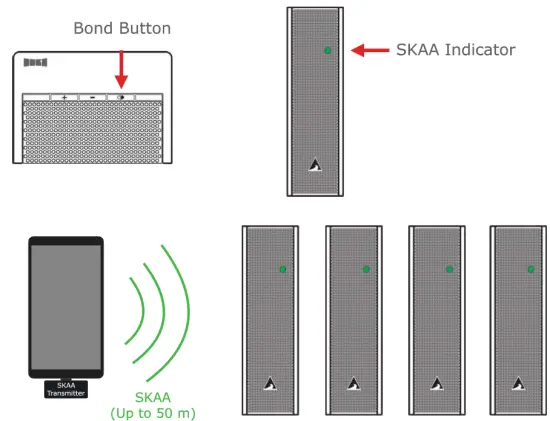 Atlantic FS WSLR1 Wired Wireless Speaker - fig
