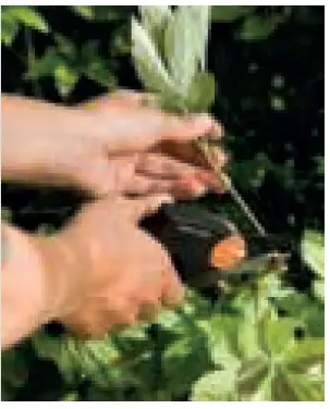 FISKARS PowerGear II Lopper L 112590 Bypass Hook-fig7