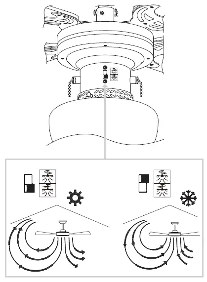 colours J36002XY Ceiling Fan with Lights-FIG-17
