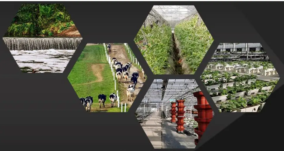 KLHA KR9330 Hand-Held Soil Moisture Measuring Instrument - figure